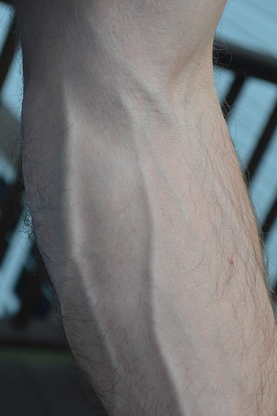 forearm veins, huge veins, bodybuilder veins,