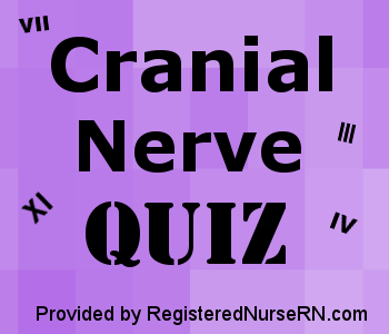 Label Cranial Nerves Quiz