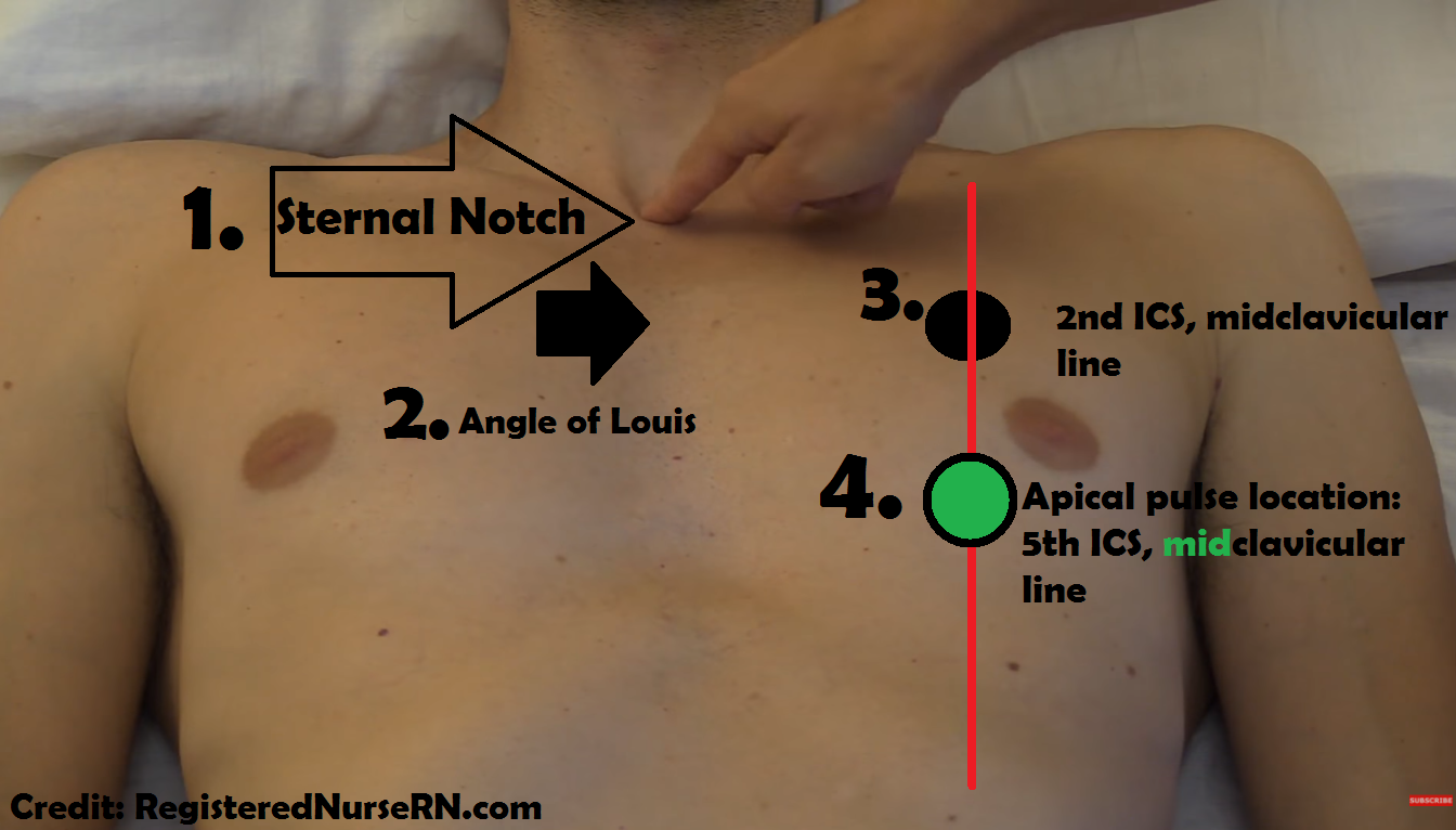 apical pulse, location, assessment, site, nursing