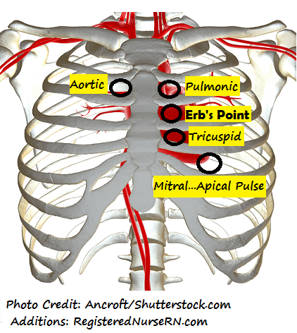 Charting Head To Toe Assessment