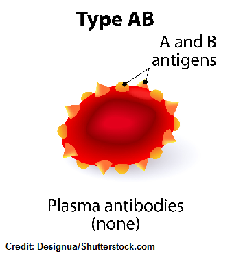abo blood groups, nursing, nclex, type ab blood