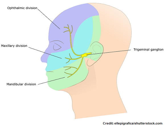 cranial nerve 5, trigeminal, nursing, exam