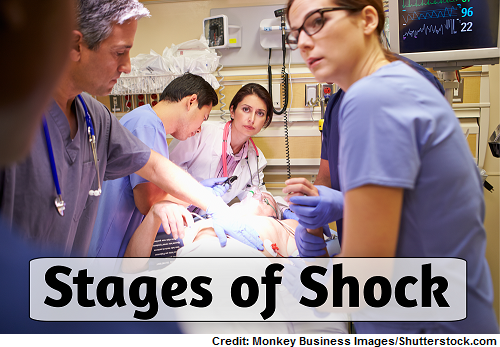 shock nclex questions, stages of shock, nursing, hypovolemic, cardiogenic, septic, anaphylactic, neurogenic