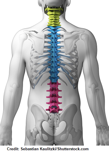 neurogenic shock, spine, nursing interventions, care plans