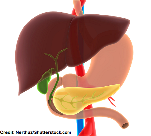 hepatitis, viral, a, b, c, d, e, nursing interventions, nclex