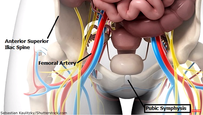 pulse sites, nursing, radial, brachial, popliteal, femoral, temporal, dorsalis pedis, posterior tibial, apical 