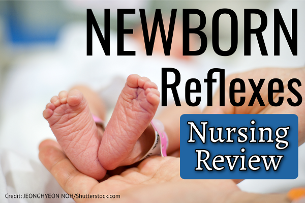 Newborn Infant Reflexes Nclex Questions Nursing Quiz
