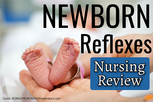 newborn, infant, reflexes, primitive, nursing, nclex, quiz, questions