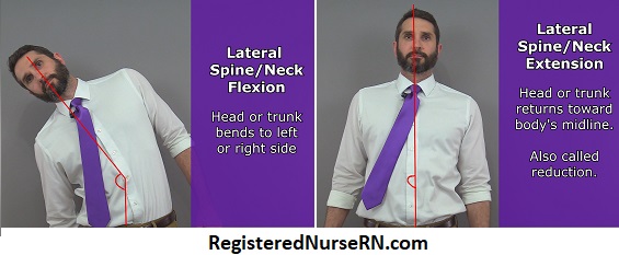 define excursion in medical lateral flexion spine, lateral extension spine, vertebral column lateral flexion, reduction