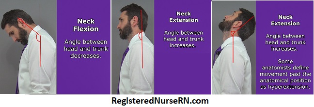 neck flexion, neck extension, hyperextension