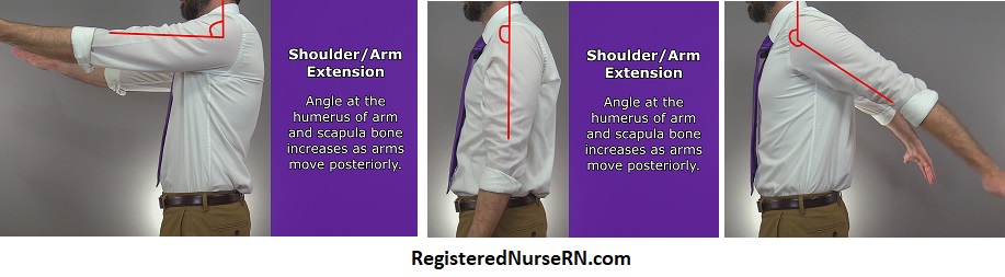 shoulder extension, arm extension, shoulder flexion, arm flexion