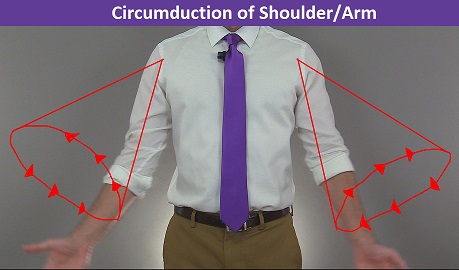 circumduction of shoulder joint, arm circumduction, anatomy