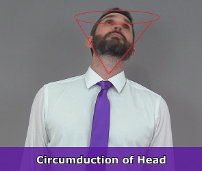 head circumduction, cervical circumduction, anatomy