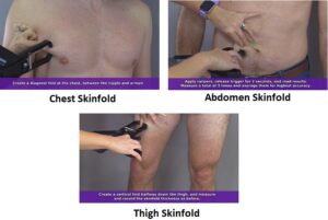 abdomen skinfold, chest skinfold, thigh skinfold, skinfold caliper, body fat percentage