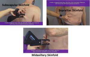 subscapular skinfold, suprailiac skinfold, midaxillary skinfold, body fat percentage measurement