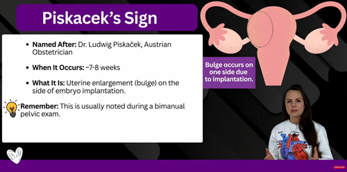 piskacek's sign, pregnancy signs and symptoms, early pregnancy signs, probable signs of pregnancy, maternity exams, ob nursing